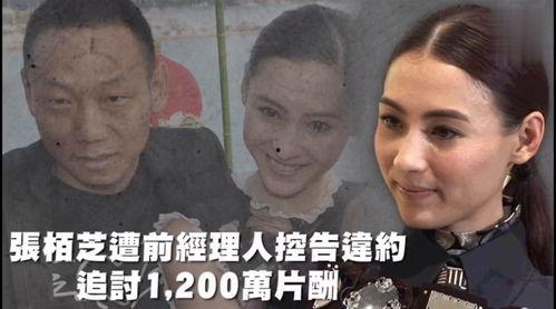 娱乐吃新瓜,揭秘明星幕后故事